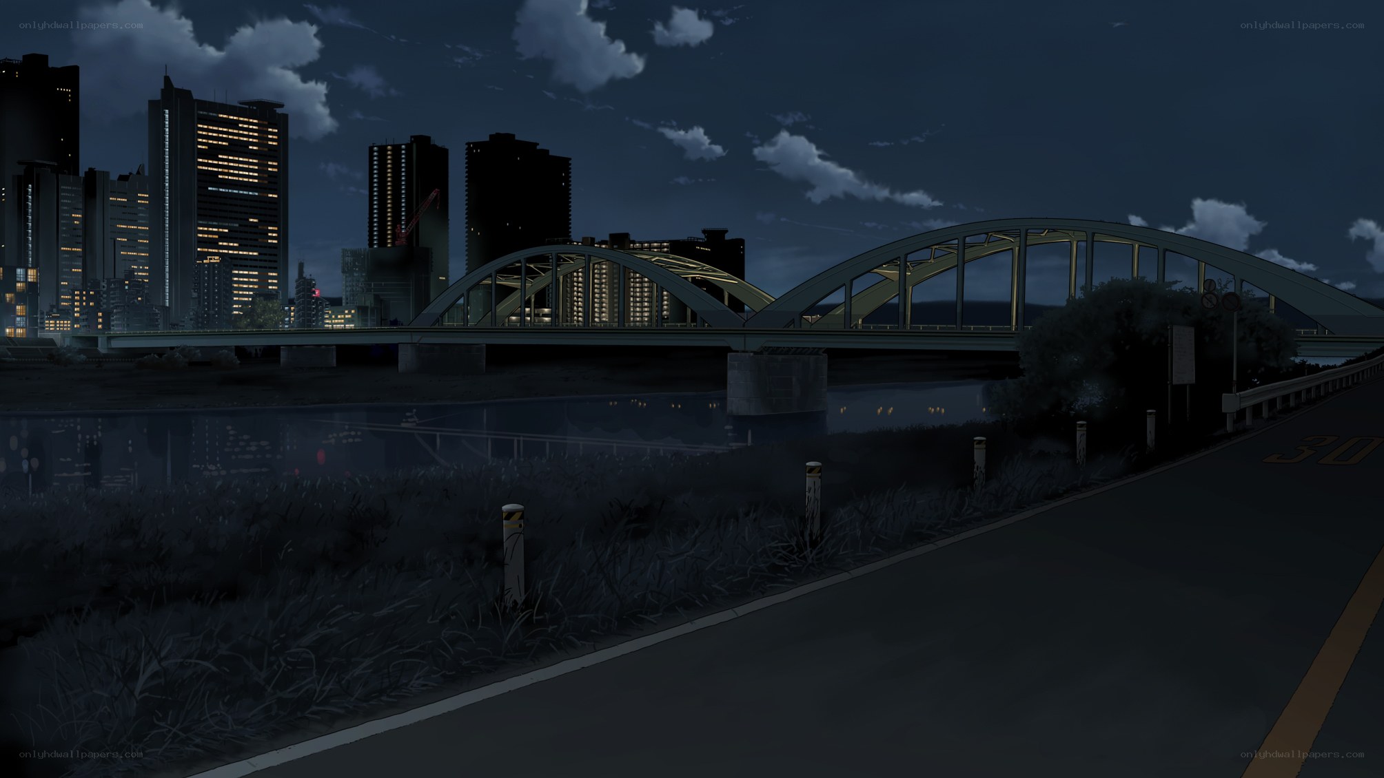 Night cityscape with bridge