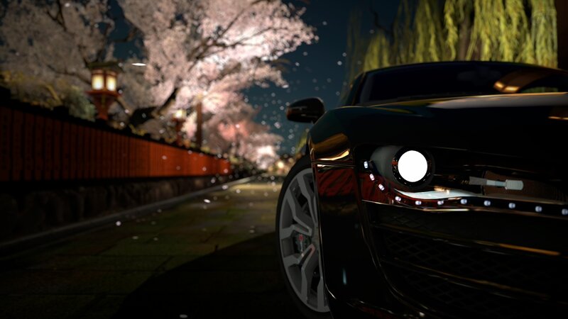 Night drive under cherry blossoms