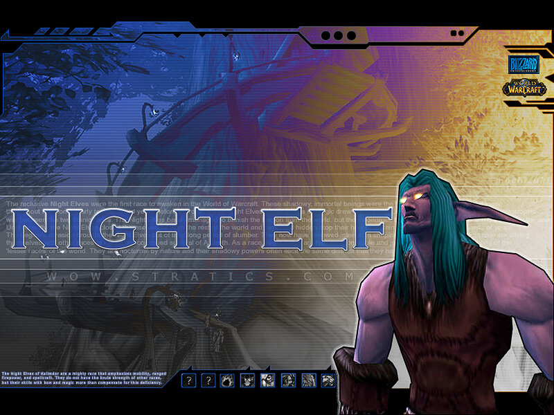 Night Elf character from World of Warcraft