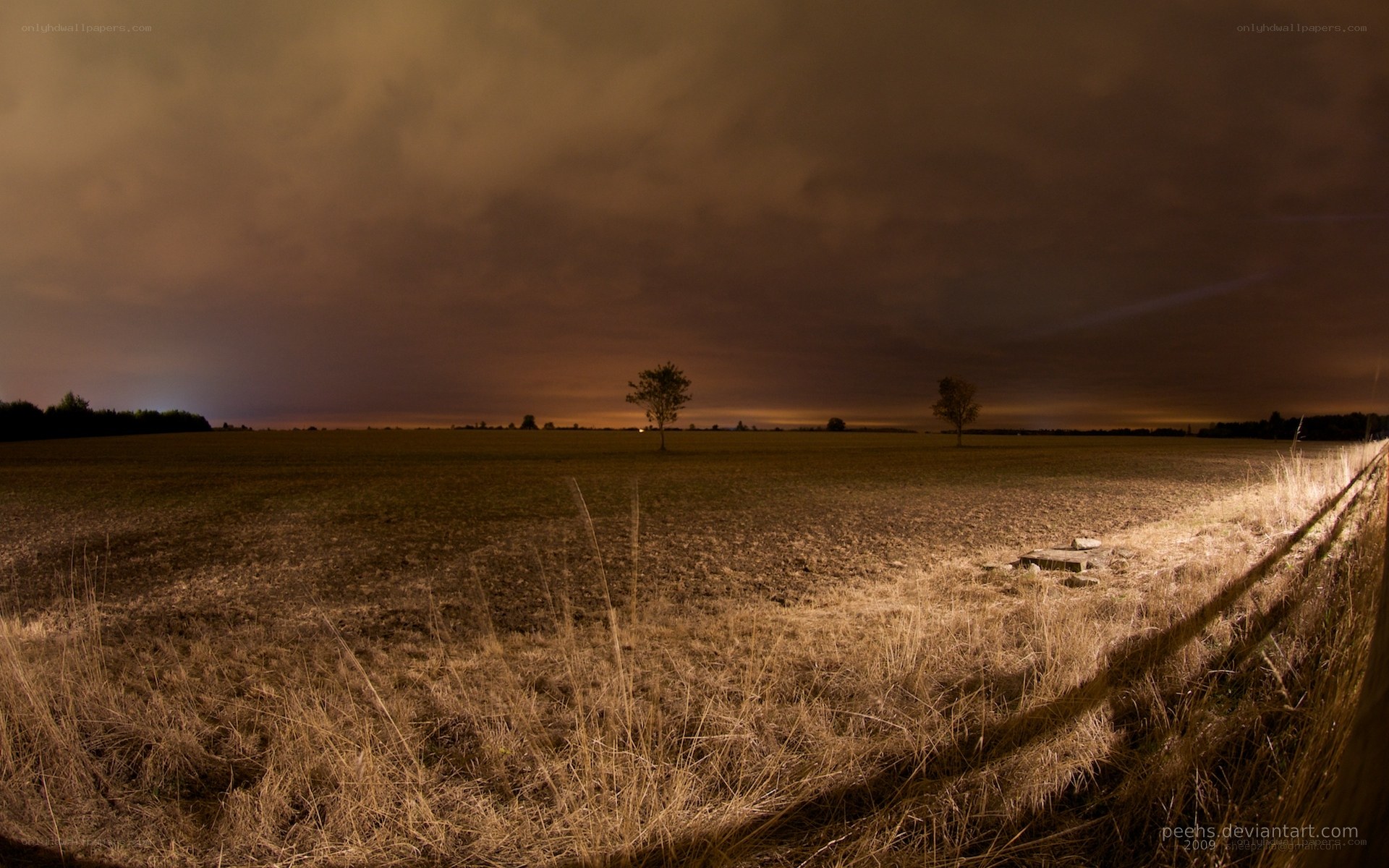 Night field with distant trees