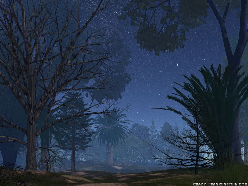 Night Forest Scene — Blue