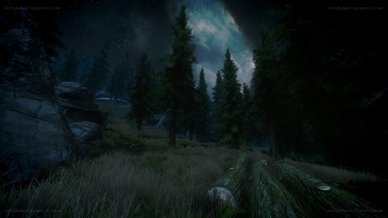 night forest with stars