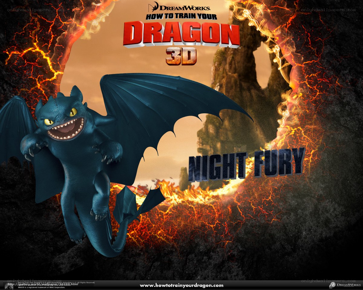 Night Fury dragon poster