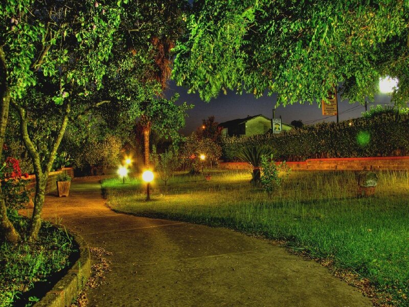 Night garden path