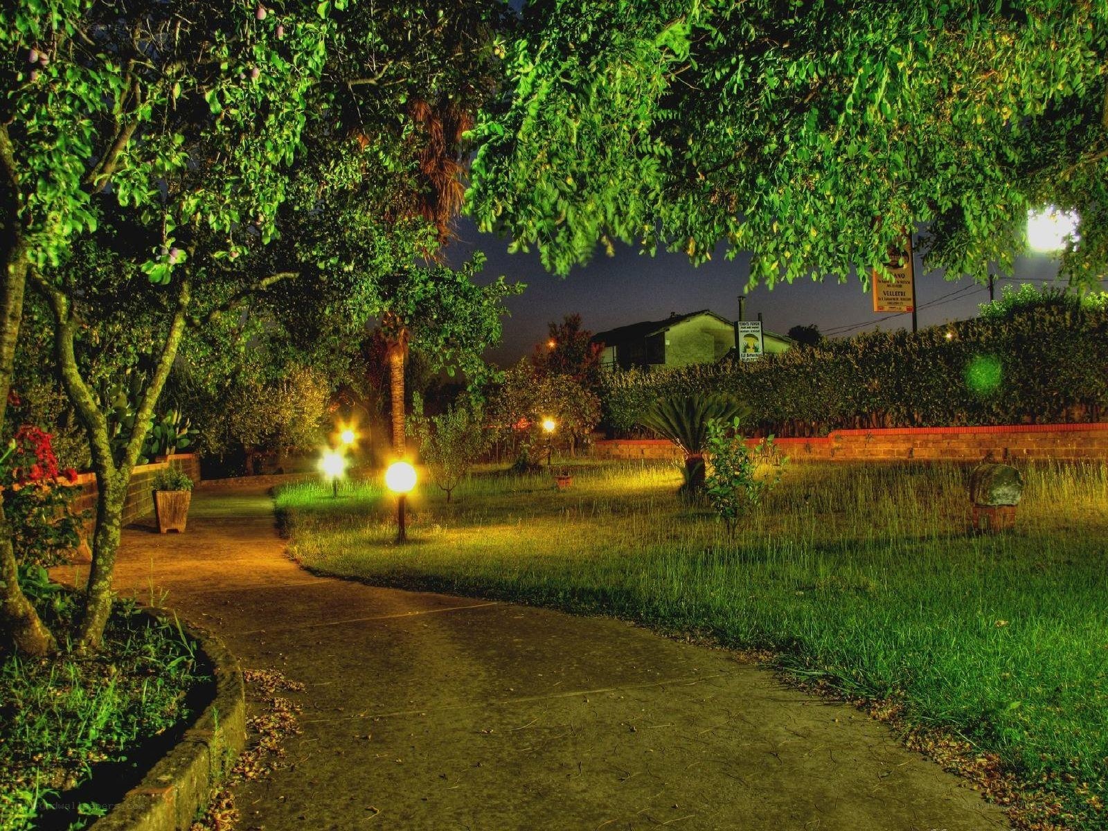 Night garden path
