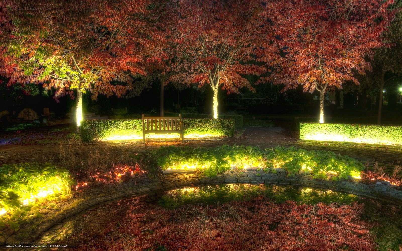 Night garden with autumn trees
