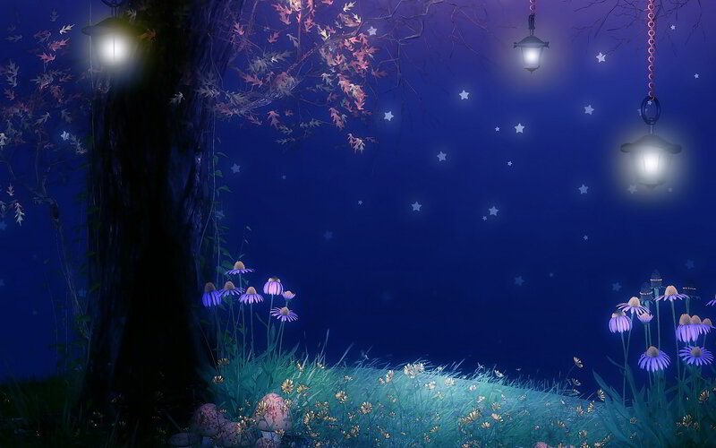 Night Garden with Flowers