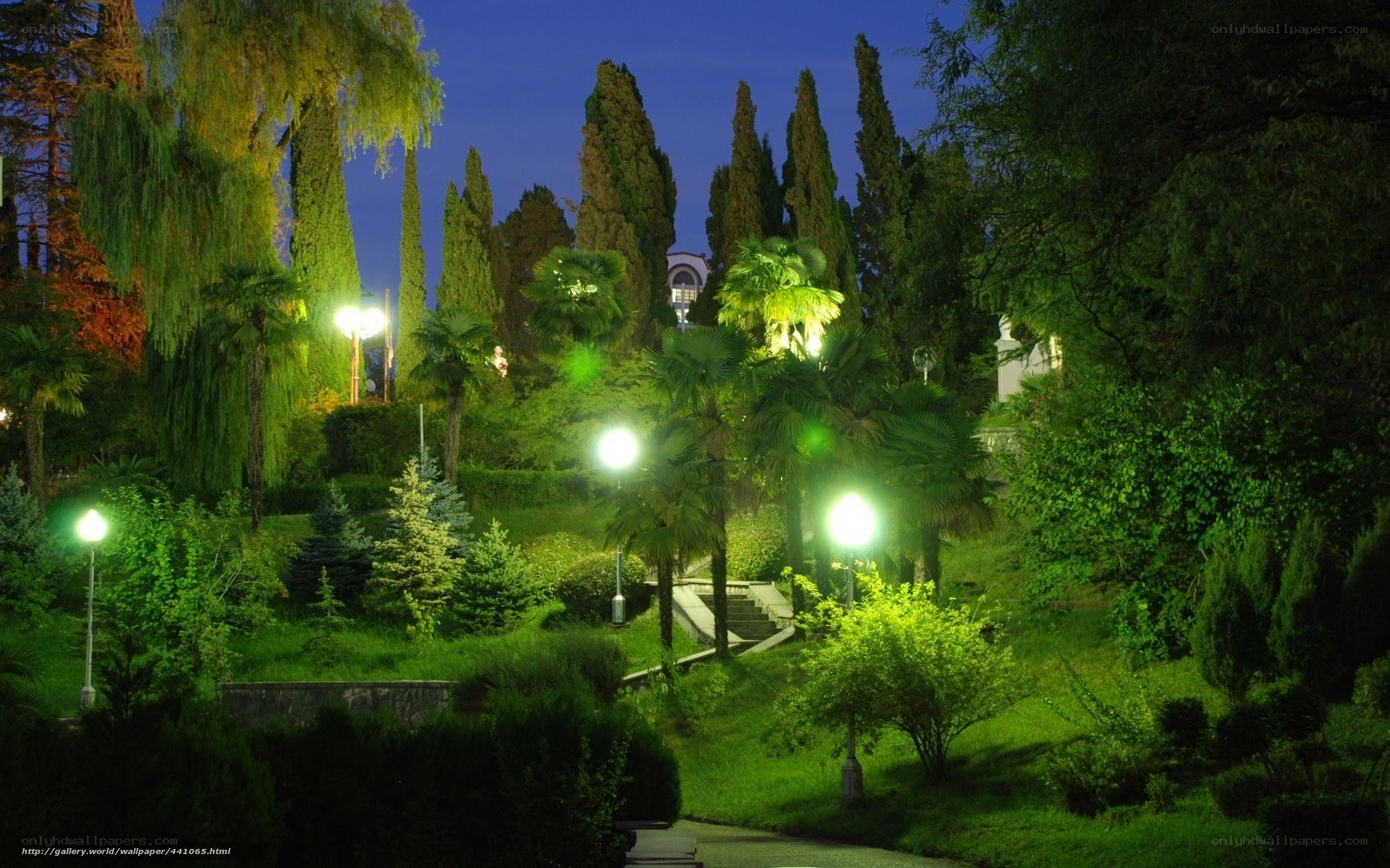 Night garden with illuminated trees