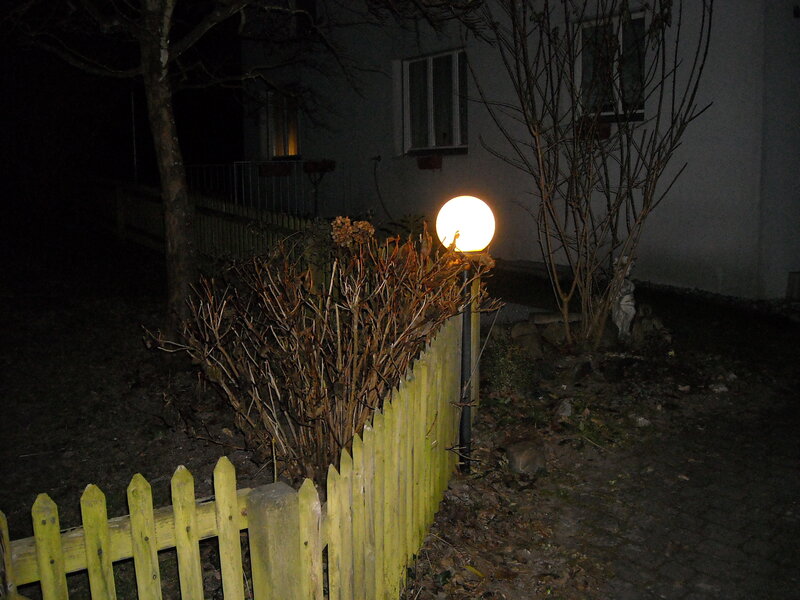 night garden with lamp