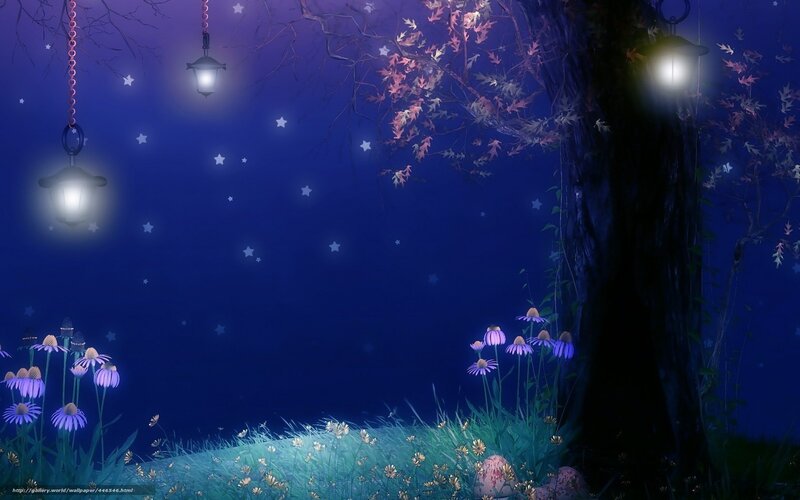 Night garden with lanterns