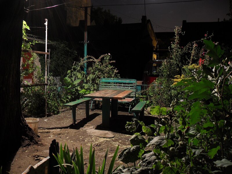 Night garden with picnic table