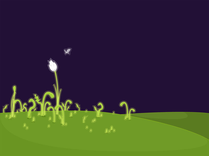 night garden with white flower