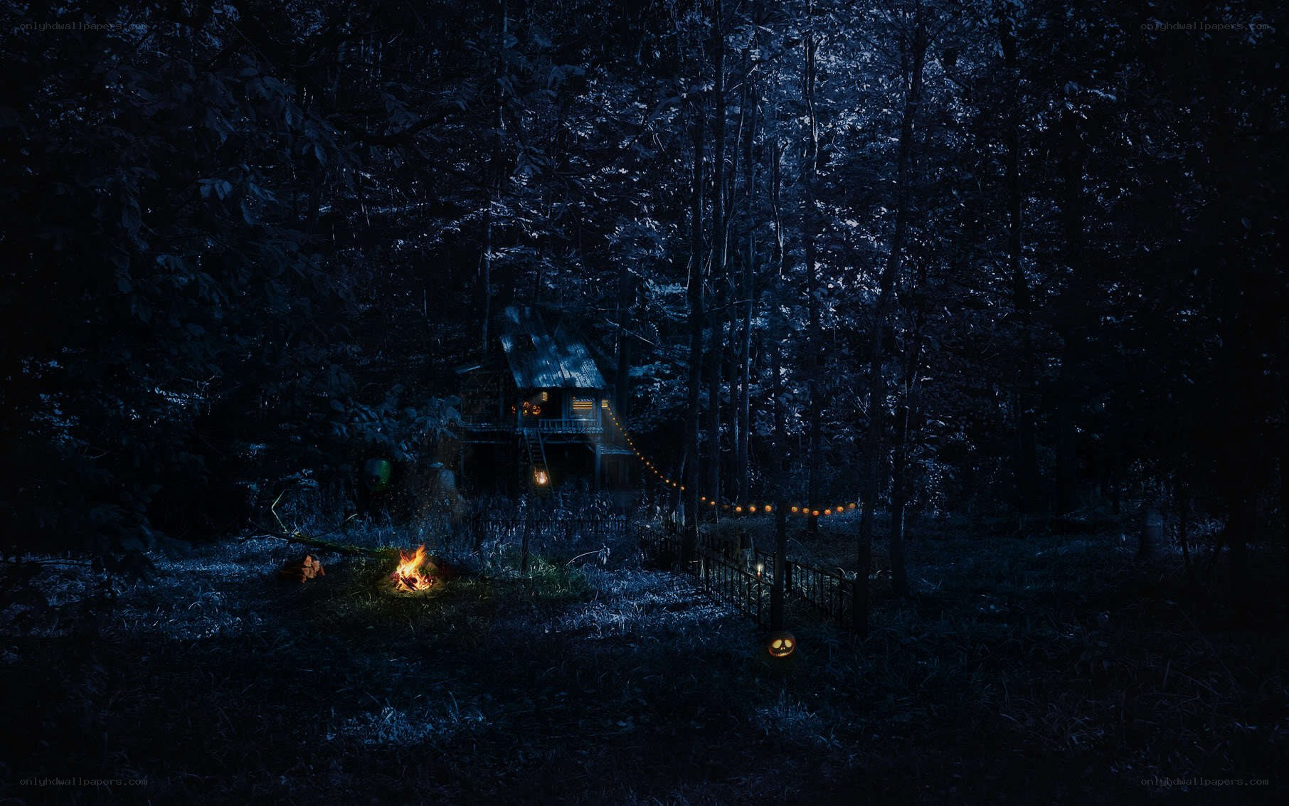 Night in the forest cabin