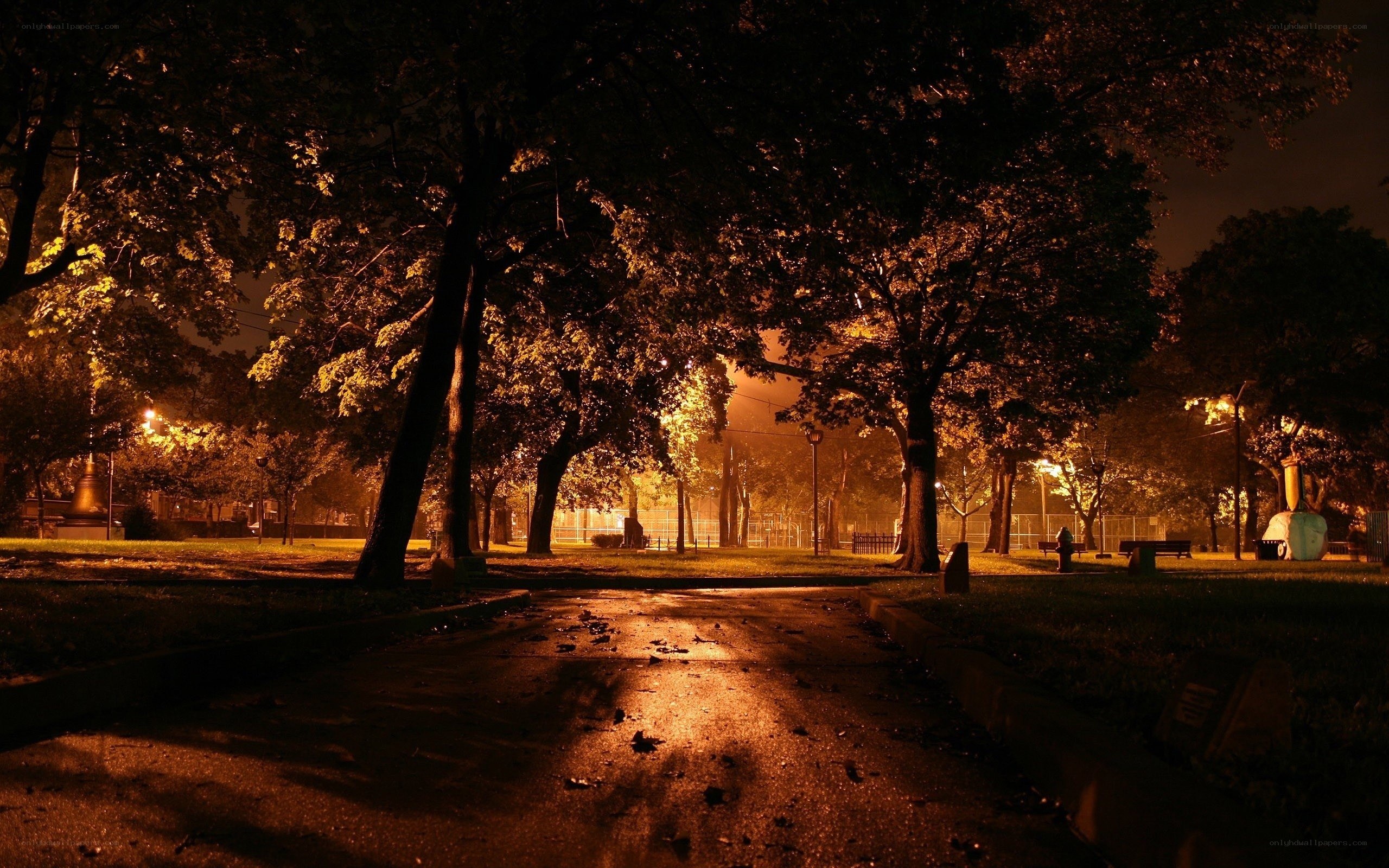 Night in the park