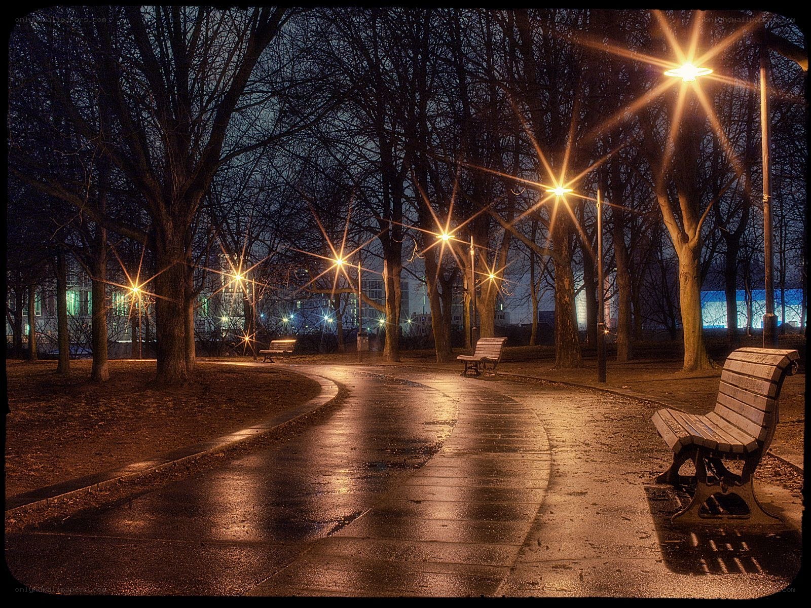 Night in the park