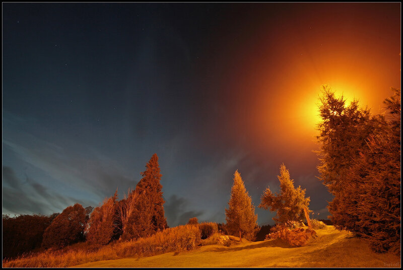 Night landscape with glowing sky