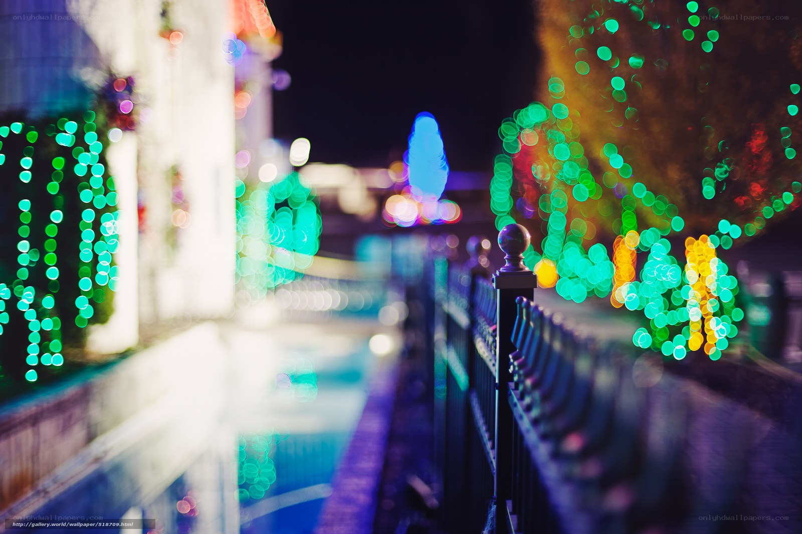 Night lights at the amusement park