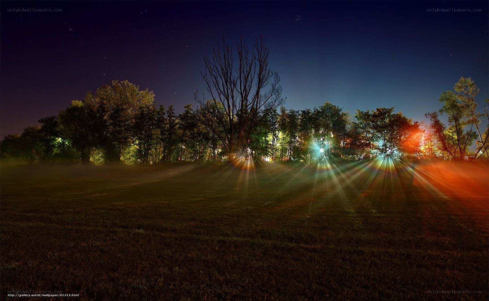 Night lights in a misty field