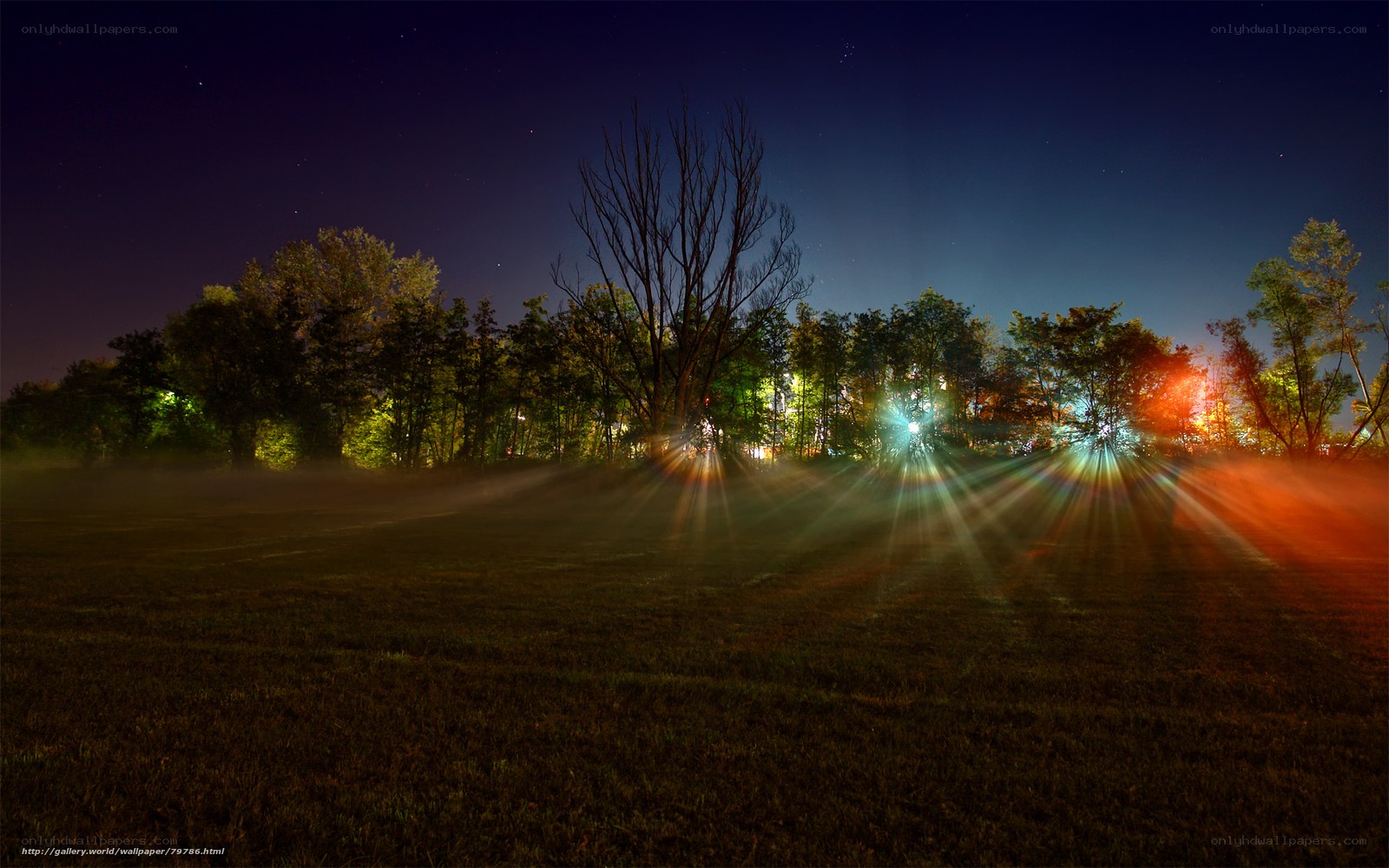 Night lights in a misty field