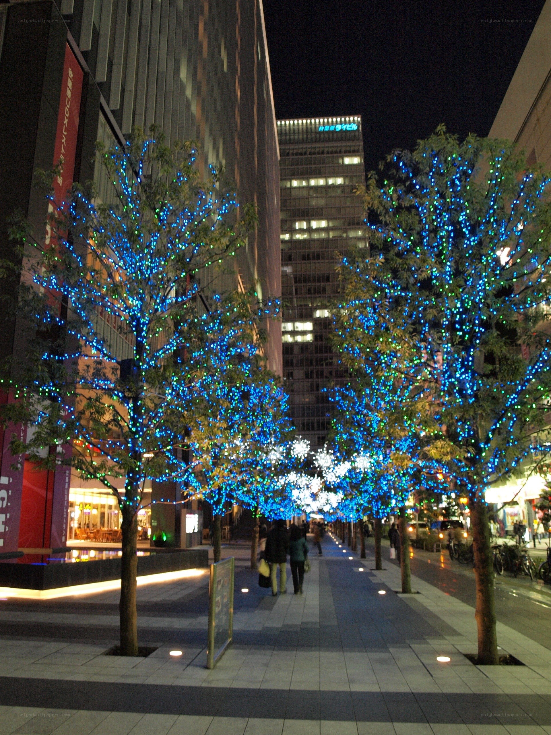 Night lights on city trees