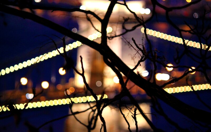 Night lights through tree branches