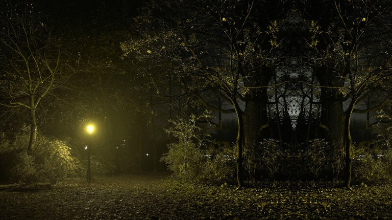 Night park with street lamp