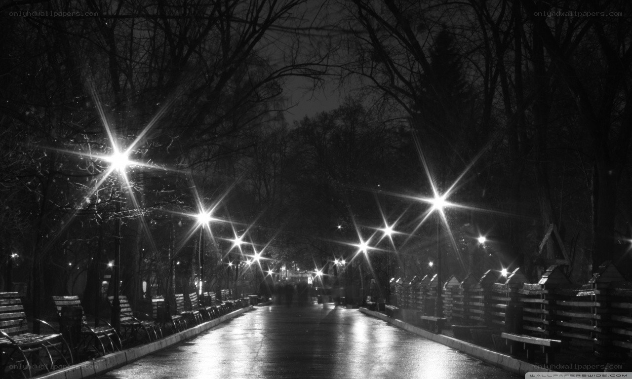 Night park with streetlights