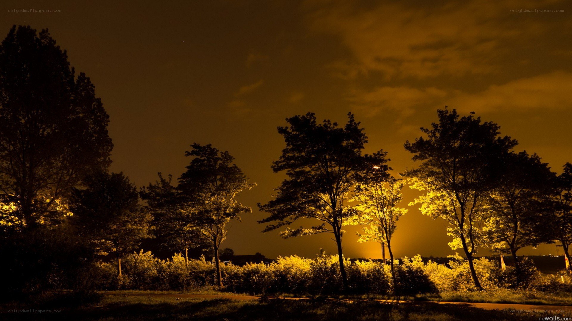 Night park with streetlights