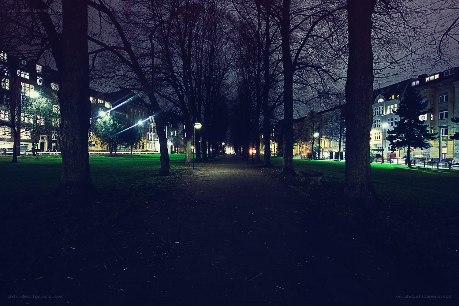 Night path in a city park