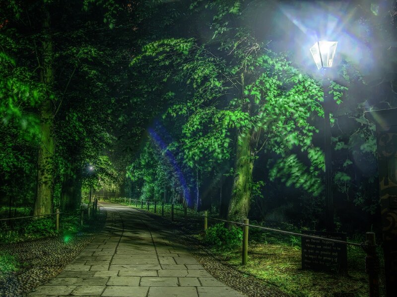 Night path in a forest