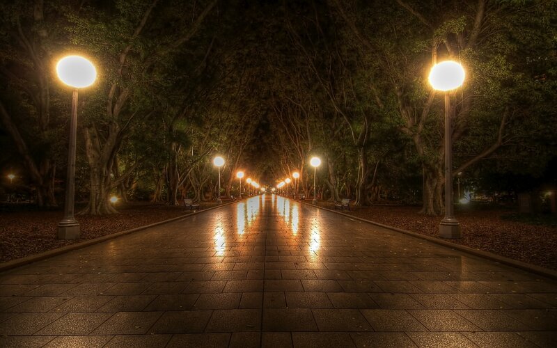 Night path in a tree-lined park