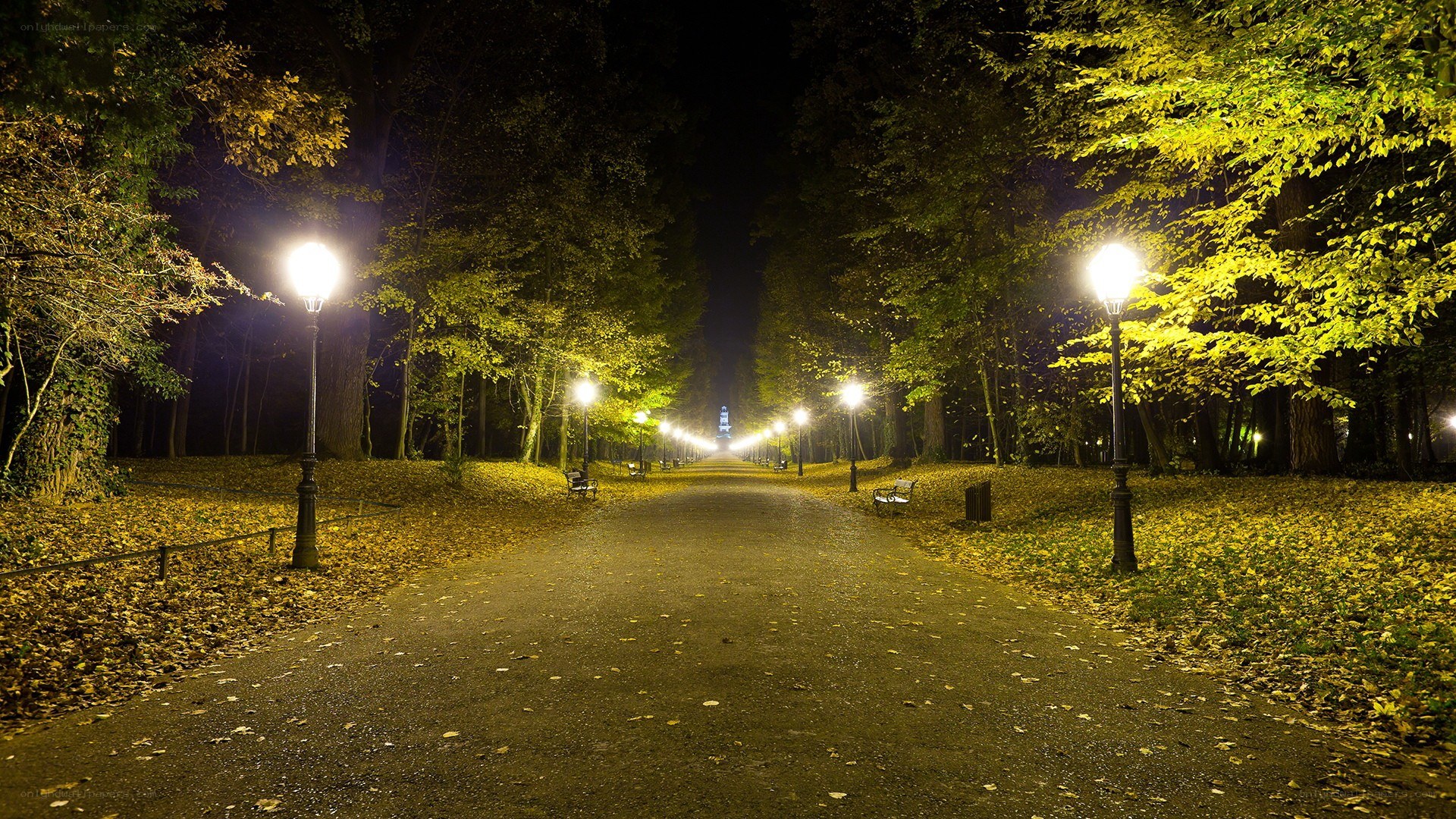 Night path in autumn park