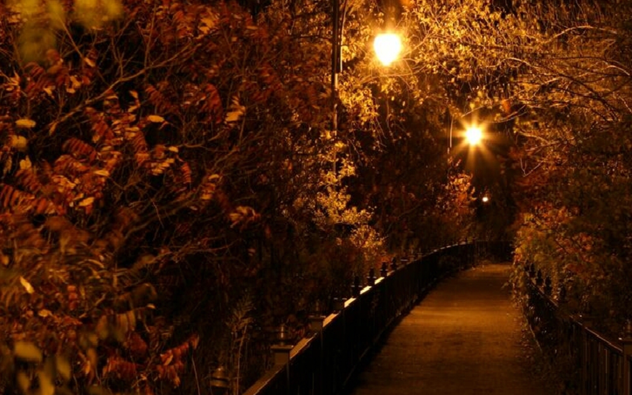 night path in autumn park