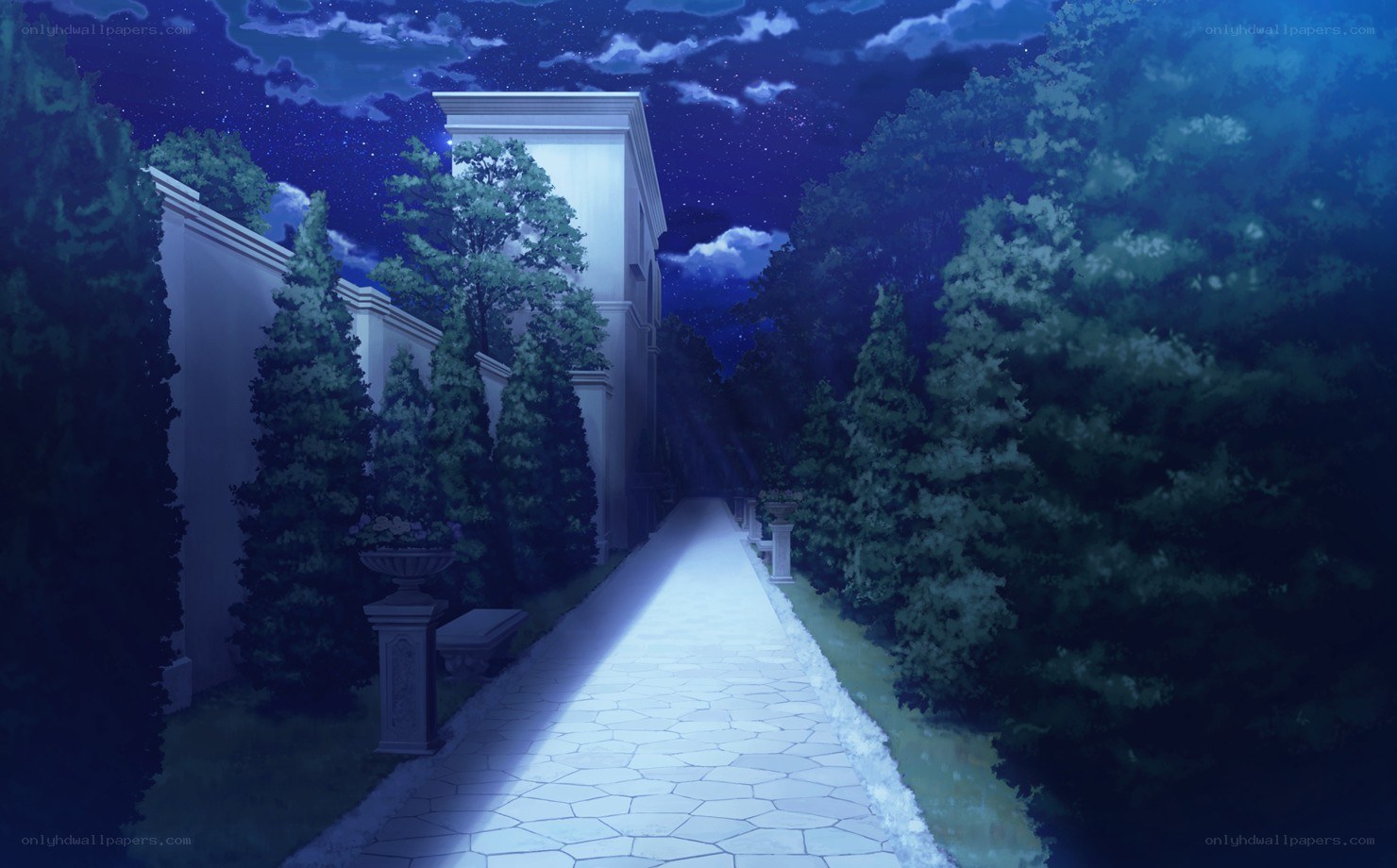 night path in garden