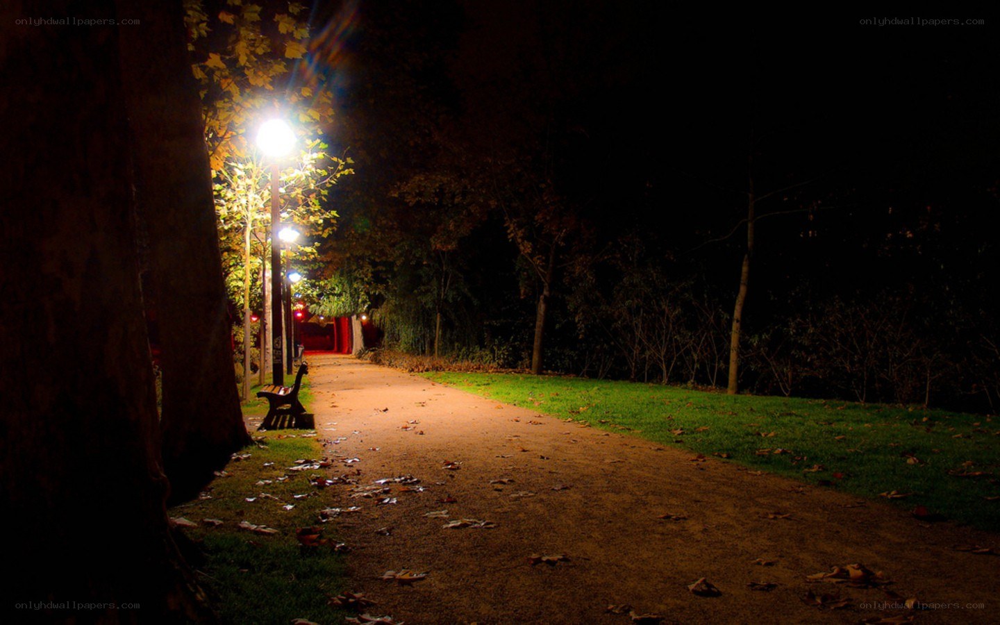 night path in park