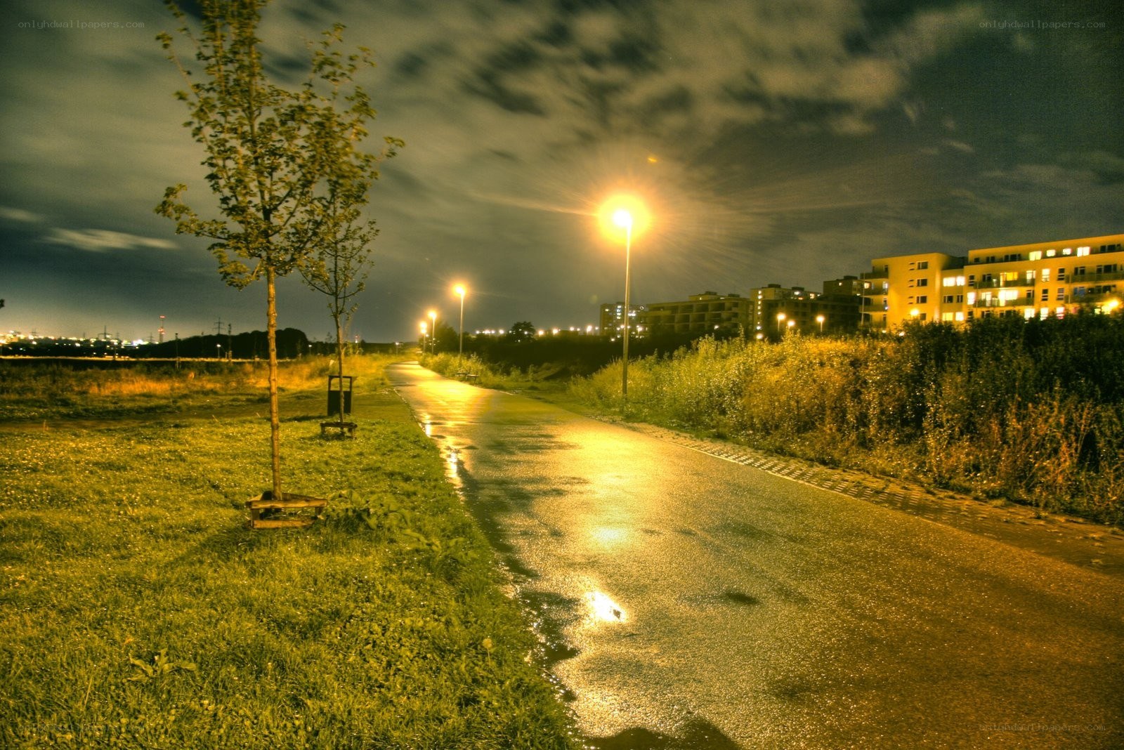 Night path in urban park