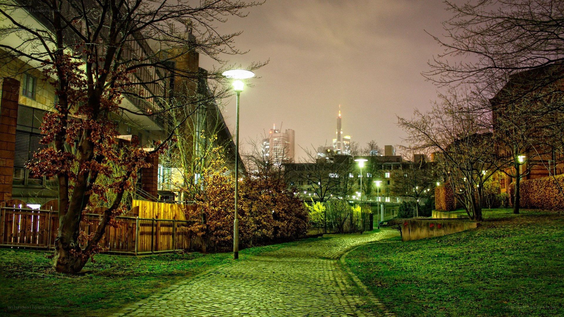 Night path in urban park