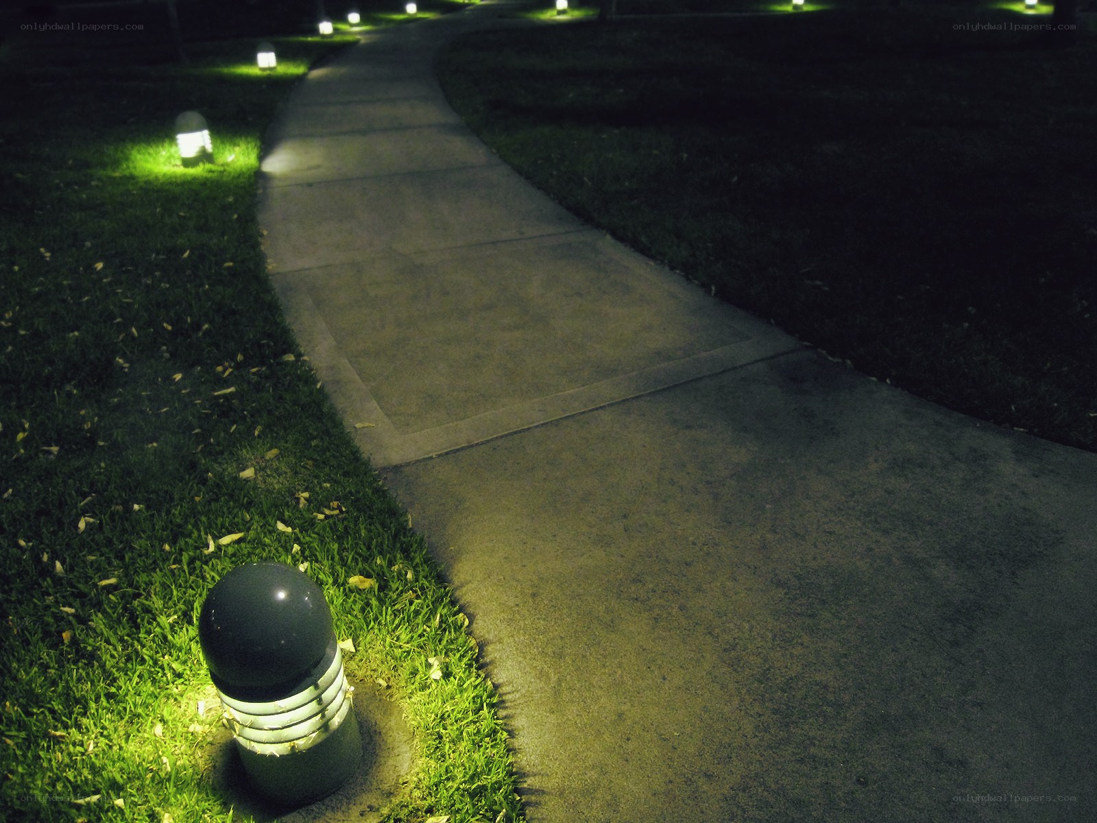 Night path with ground lights