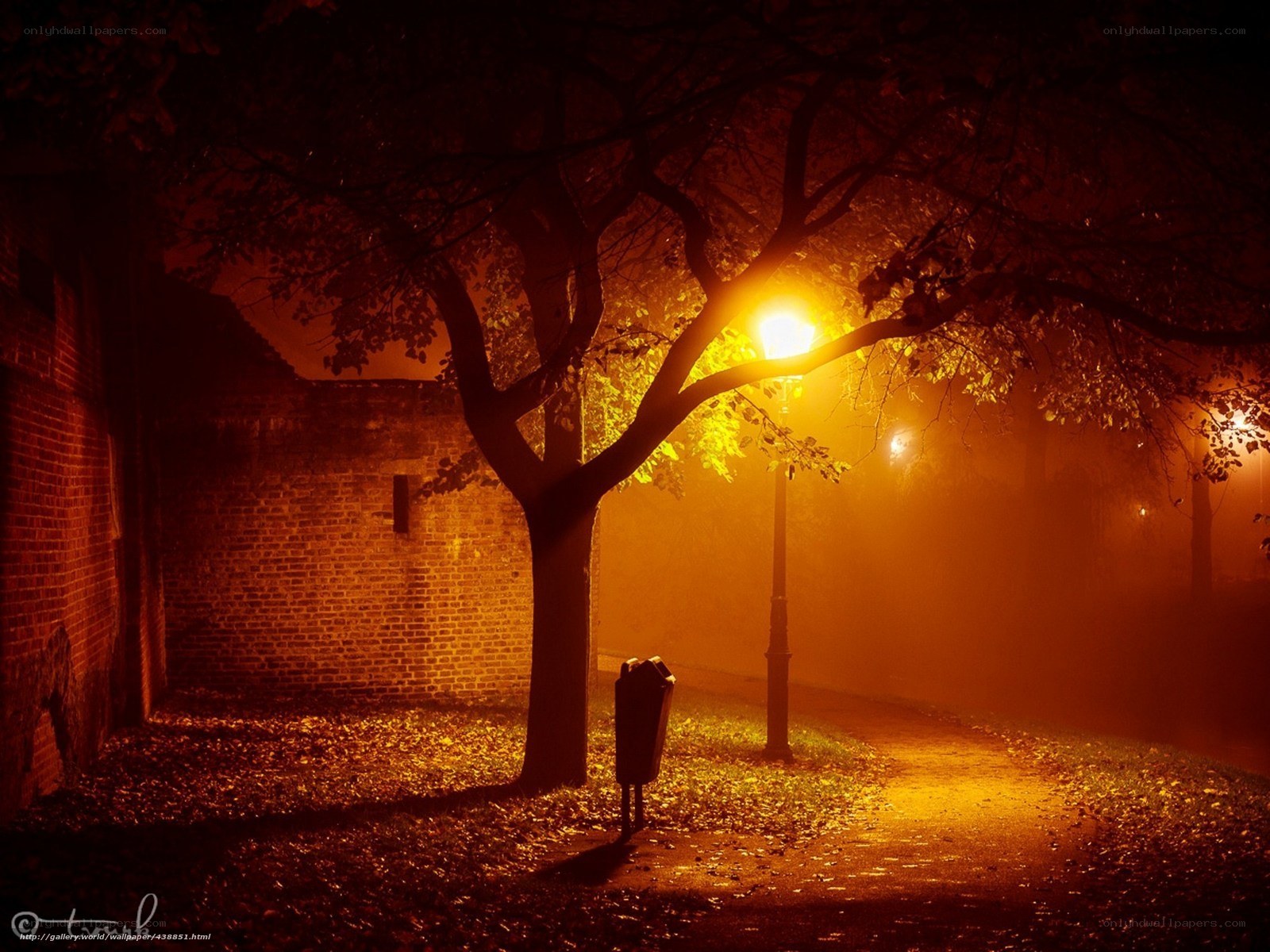 Night path with street lamp