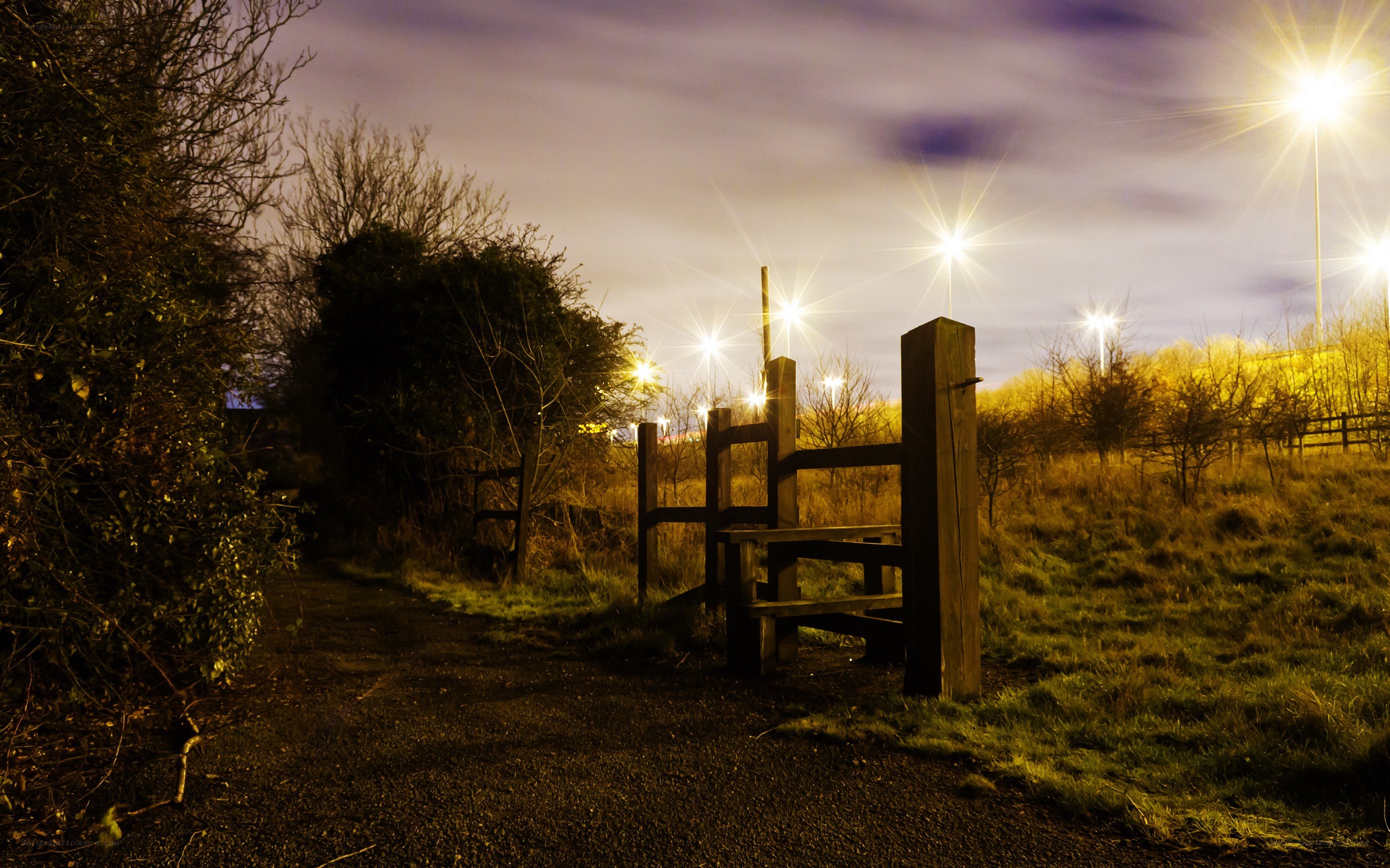 Night path with wooden gate