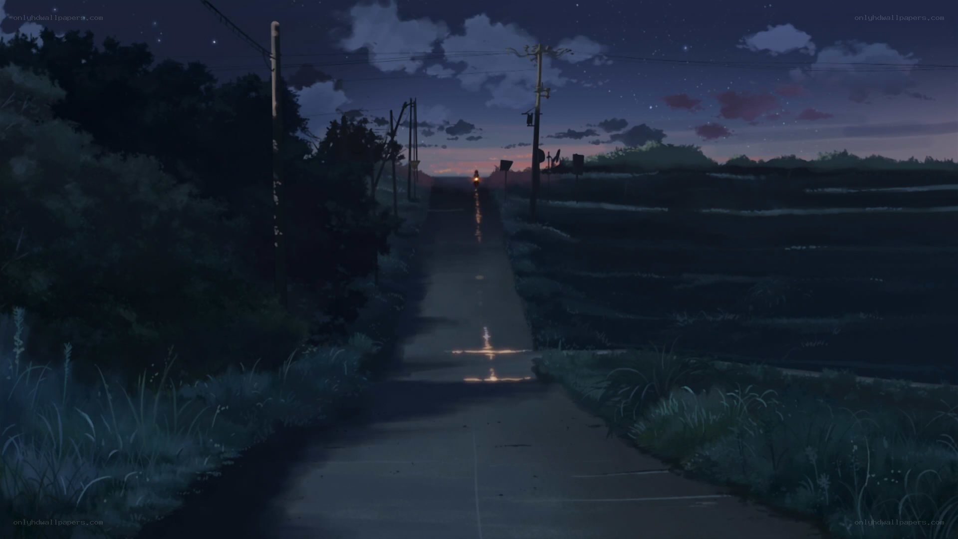 night road with distant lights