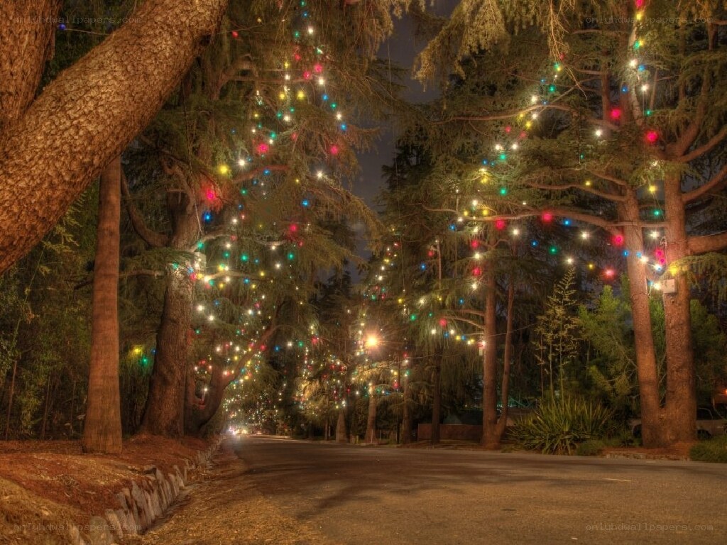 Night road with festive lights