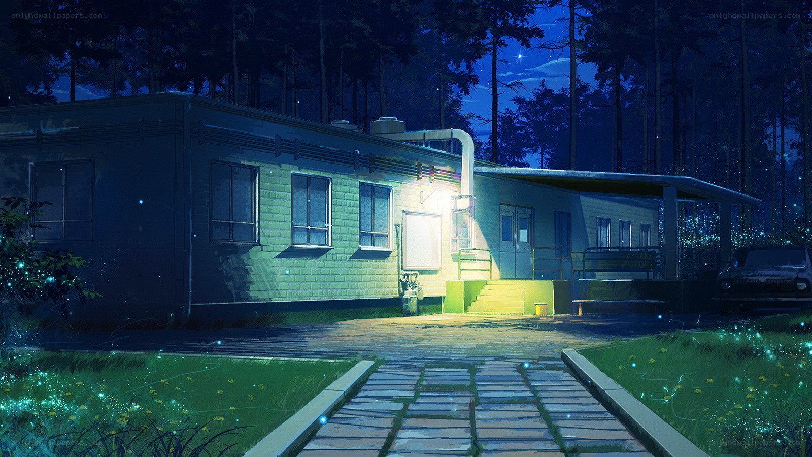 Night scene at forest cabin