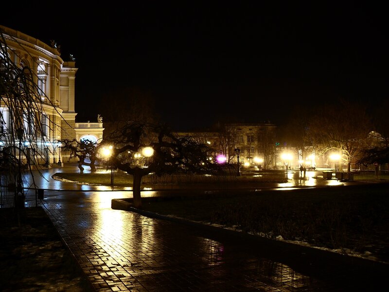 Night scene of a city park