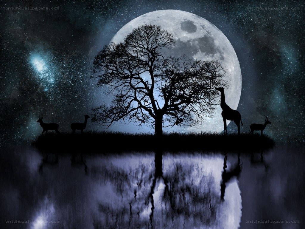 Night scene with animals and moon