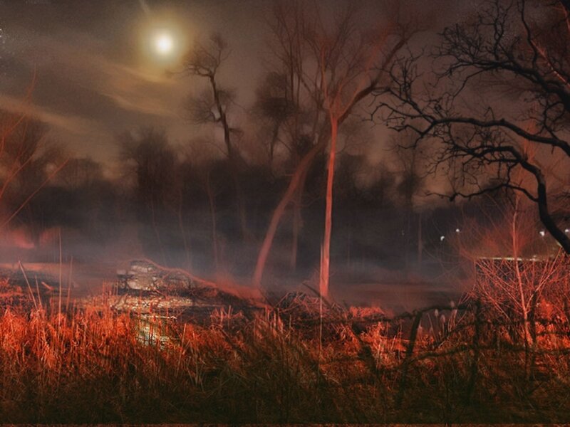 Night scene with glowing moon