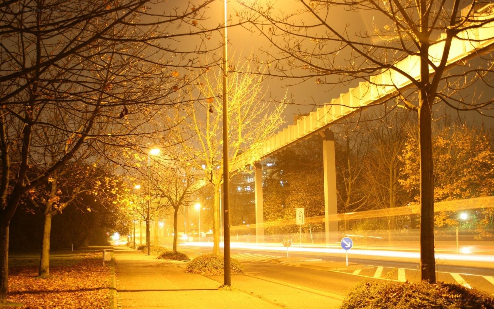 Night scene with illuminated bridge