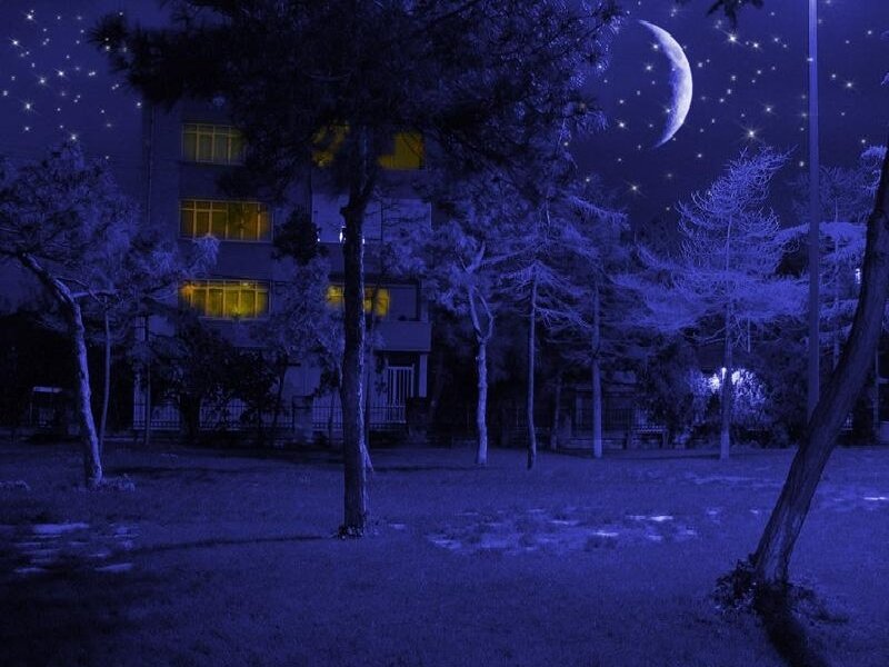 night scene with moon and stars