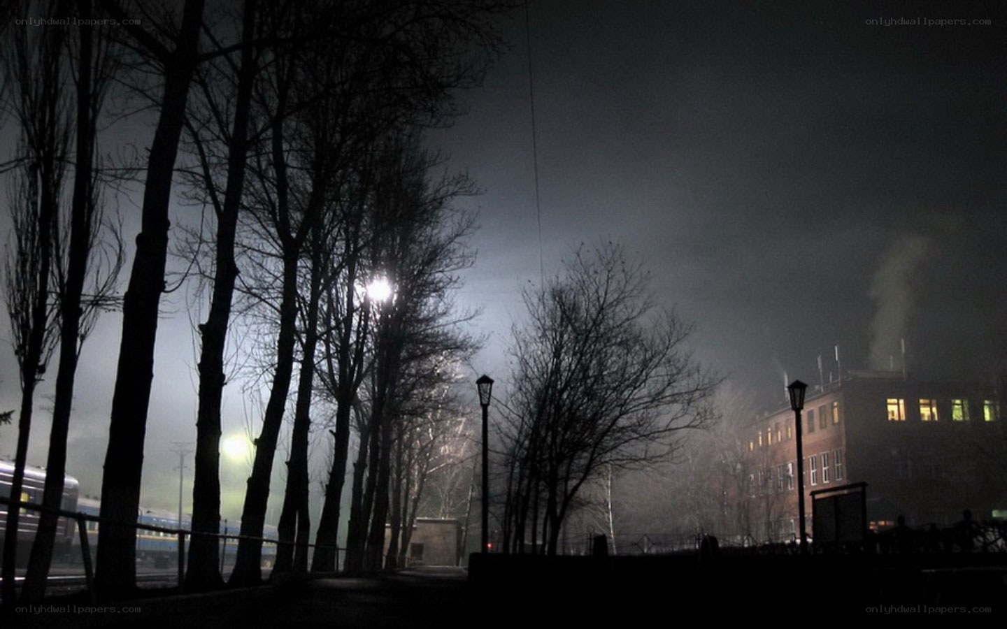 Night scene with trees and building