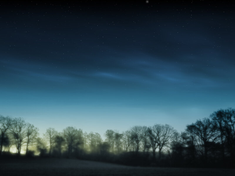 Night sky over a forest